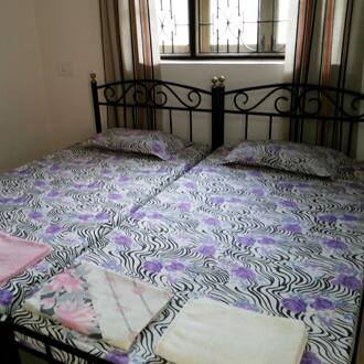 Gonsalves Guest House, Goa 2